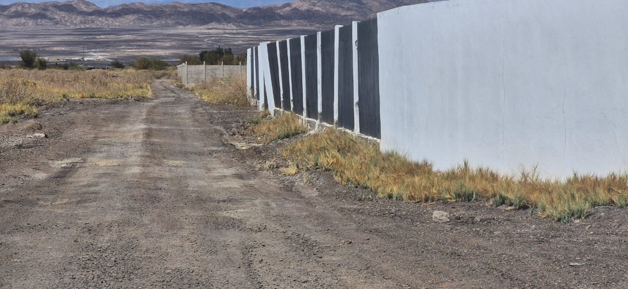 WhatsApp Image 2025-08-17 at 12.19.07 PM_69ee4b2c49c3e.jpeg